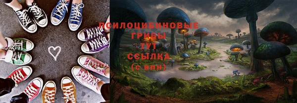 mix Гатчина