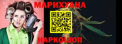 стаф Гатчина