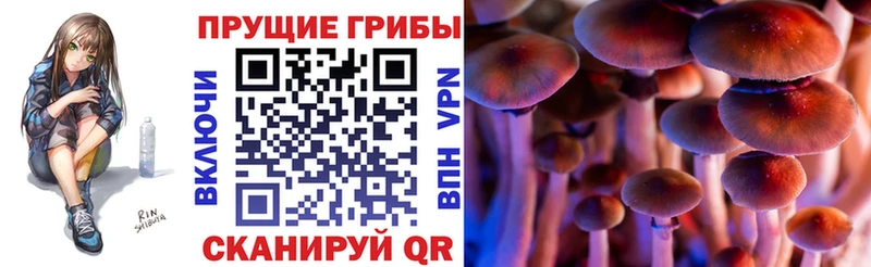 Псилоцибиновые грибы ЛСД  Гагарин 