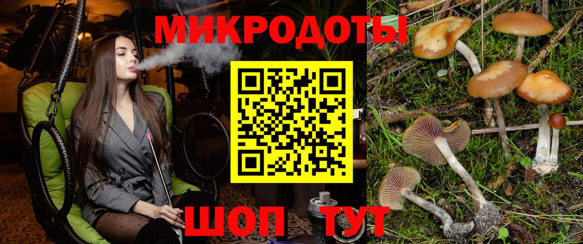 Гагарин  Псилоцибиновые грибы ЛСД  Псилоцибиновые грибы мухоморы  купить  сайты  Вход с VPN 