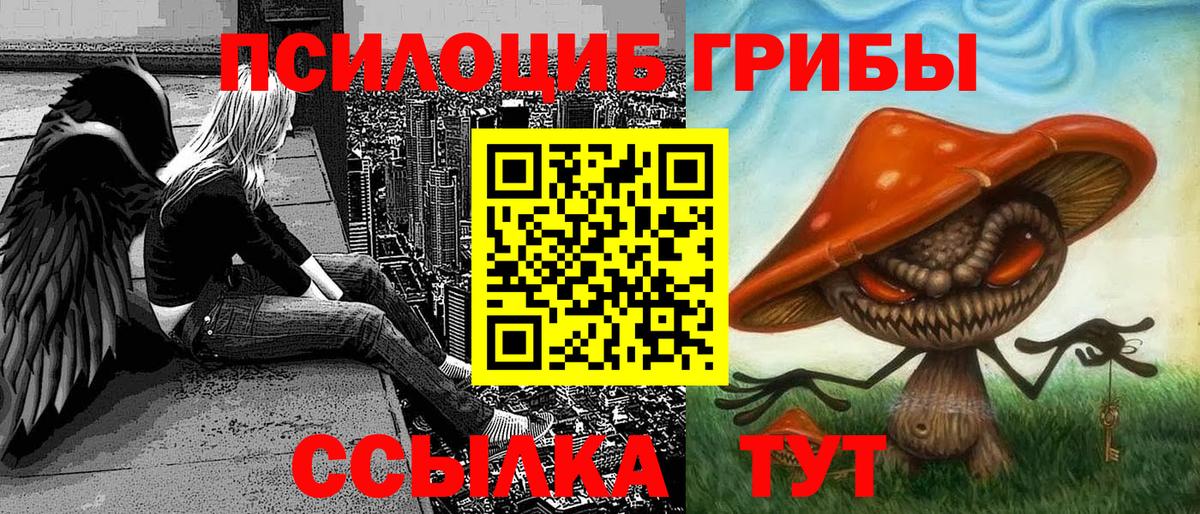 Псилоцибиновые грибы Psilocybe Гагарин